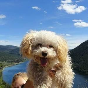 Meet your Posher, Kayla